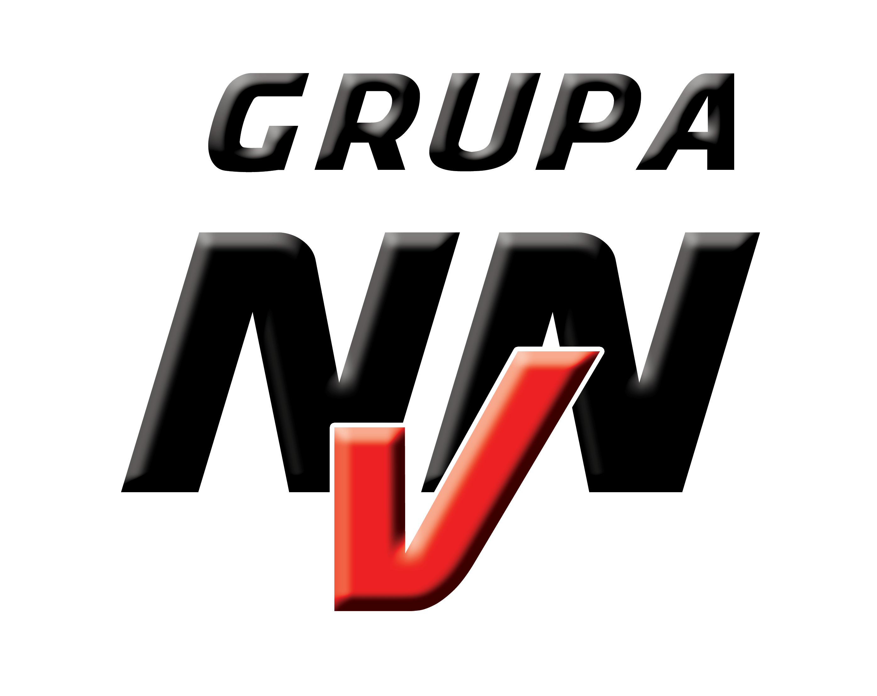 NVN Logo